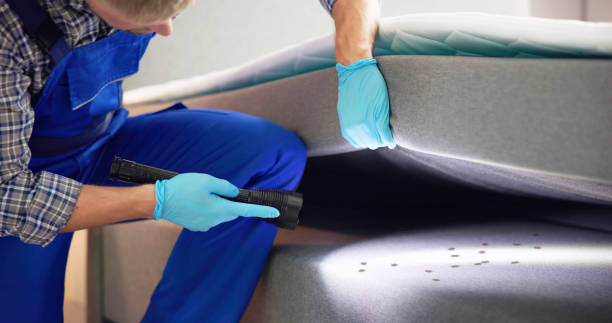 Best Cockroach Control Services  in Buckley, WA