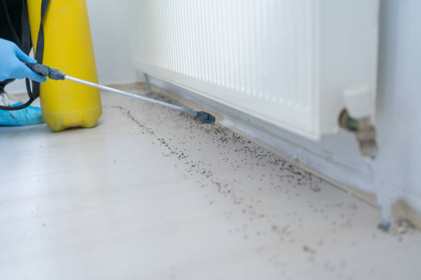Best Best Pest Control Companies  in Buckley, WA