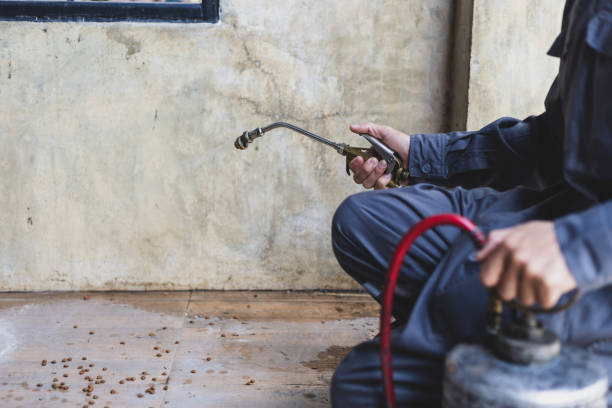 Best Termite Control Services  in Buckley, WA